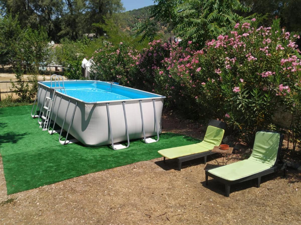 La Umbria De La Ribera Guest House El Pedroso Exterior photo