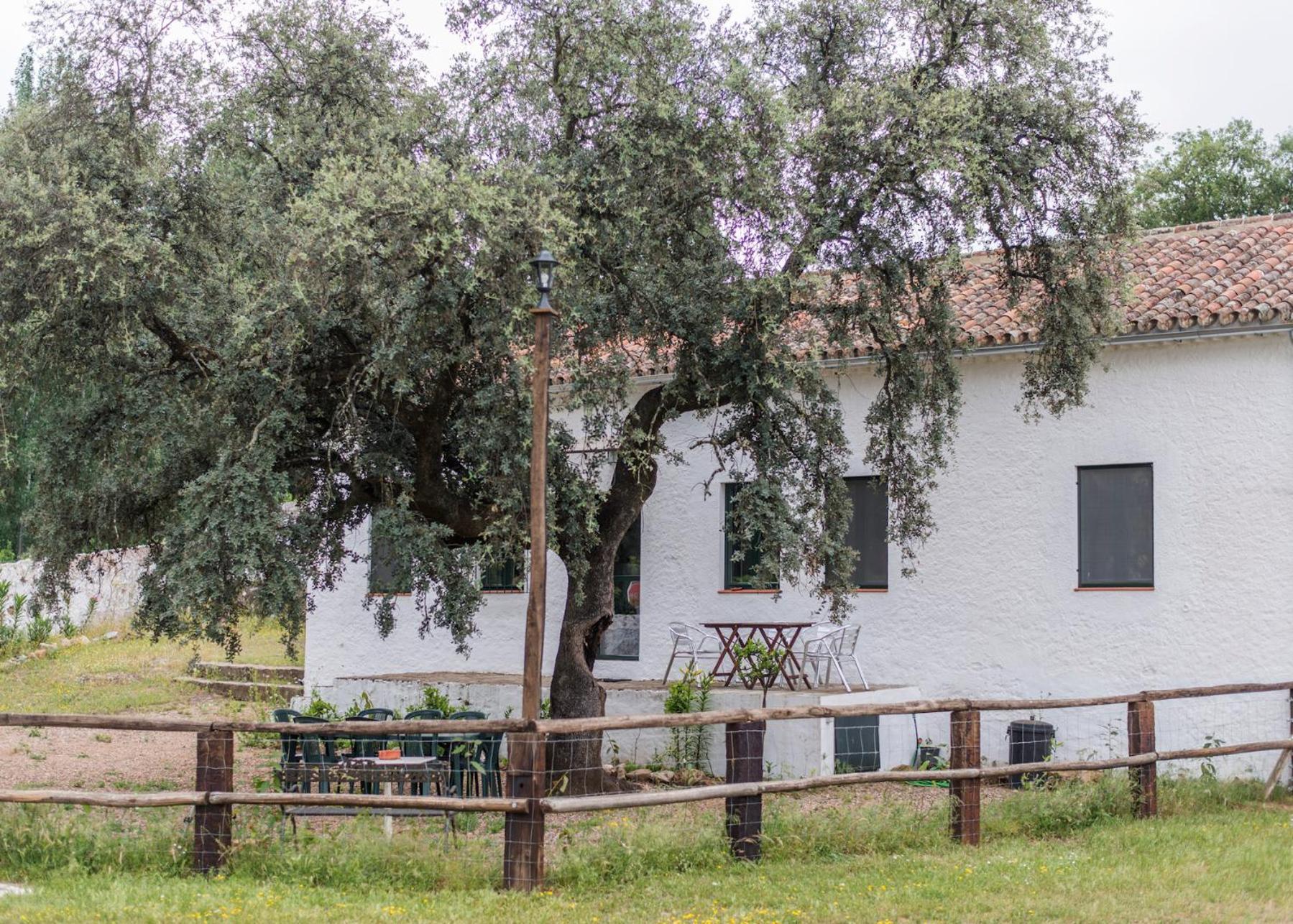 La Umbria De La Ribera Guest House El Pedroso Exterior photo