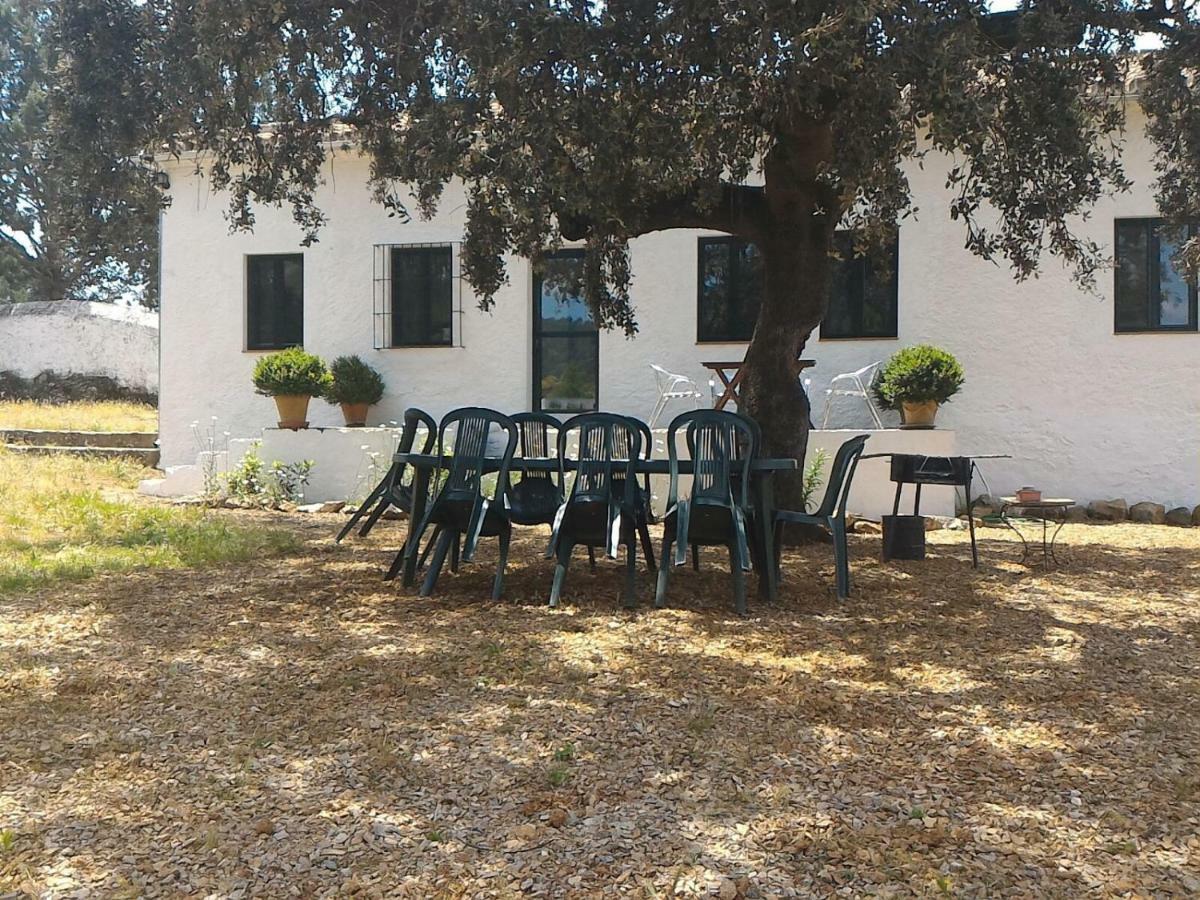 La Umbria De La Ribera Guest House El Pedroso Exterior photo