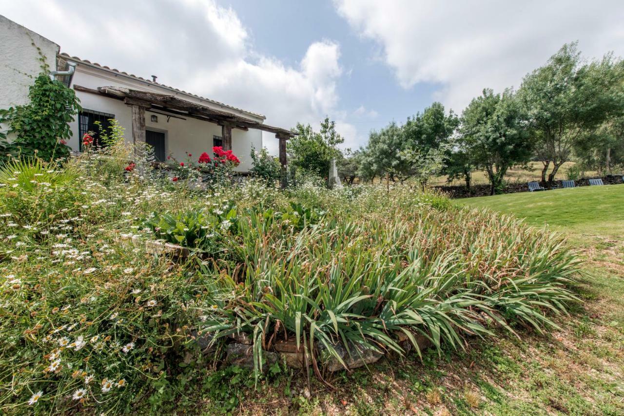 La Umbria De La Ribera Guest House El Pedroso Exterior photo