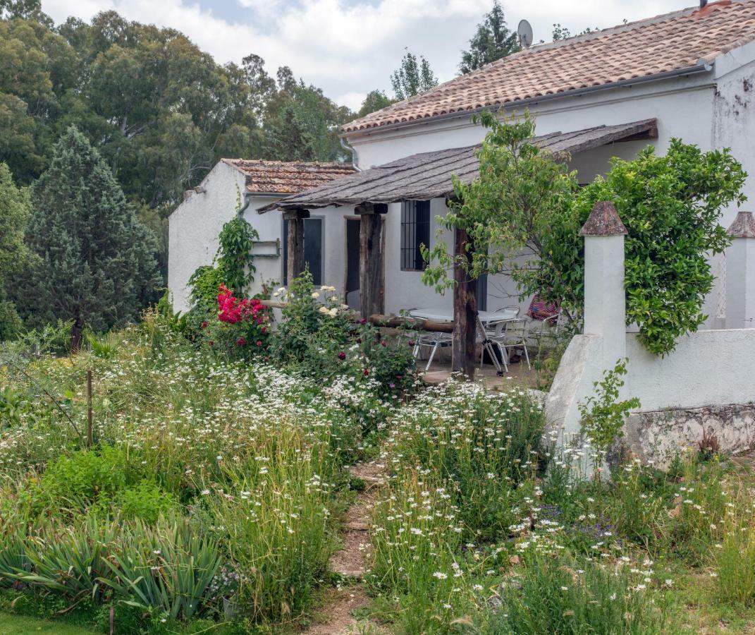 La Umbria De La Ribera Guest House El Pedroso Exterior photo
